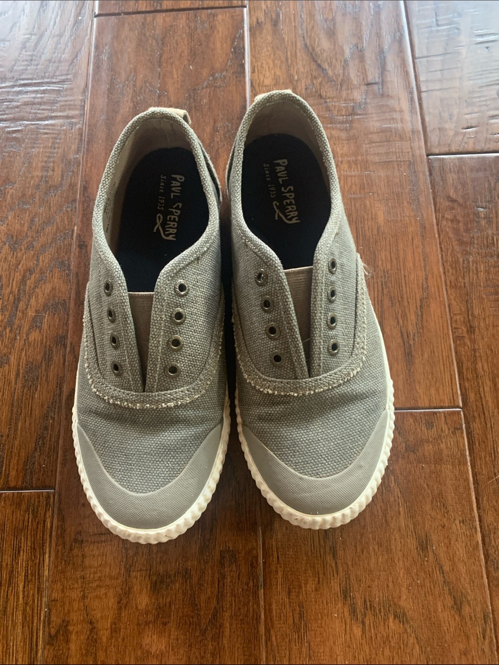 PAUL SPERRY SAYEL CLEW SNEAKERS